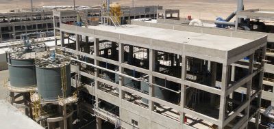 DCP Plant