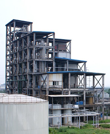 Rastlina kyseliny stearovej