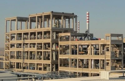 2. TSP plant